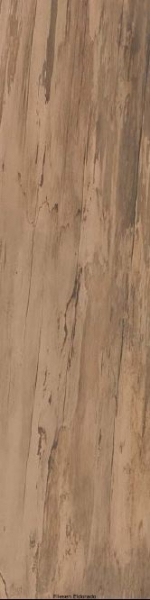 ERGON - WoodTalk Farbe beige digue
