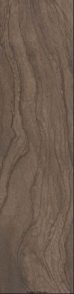 ERGON - WoodTalk Farbe brown flex